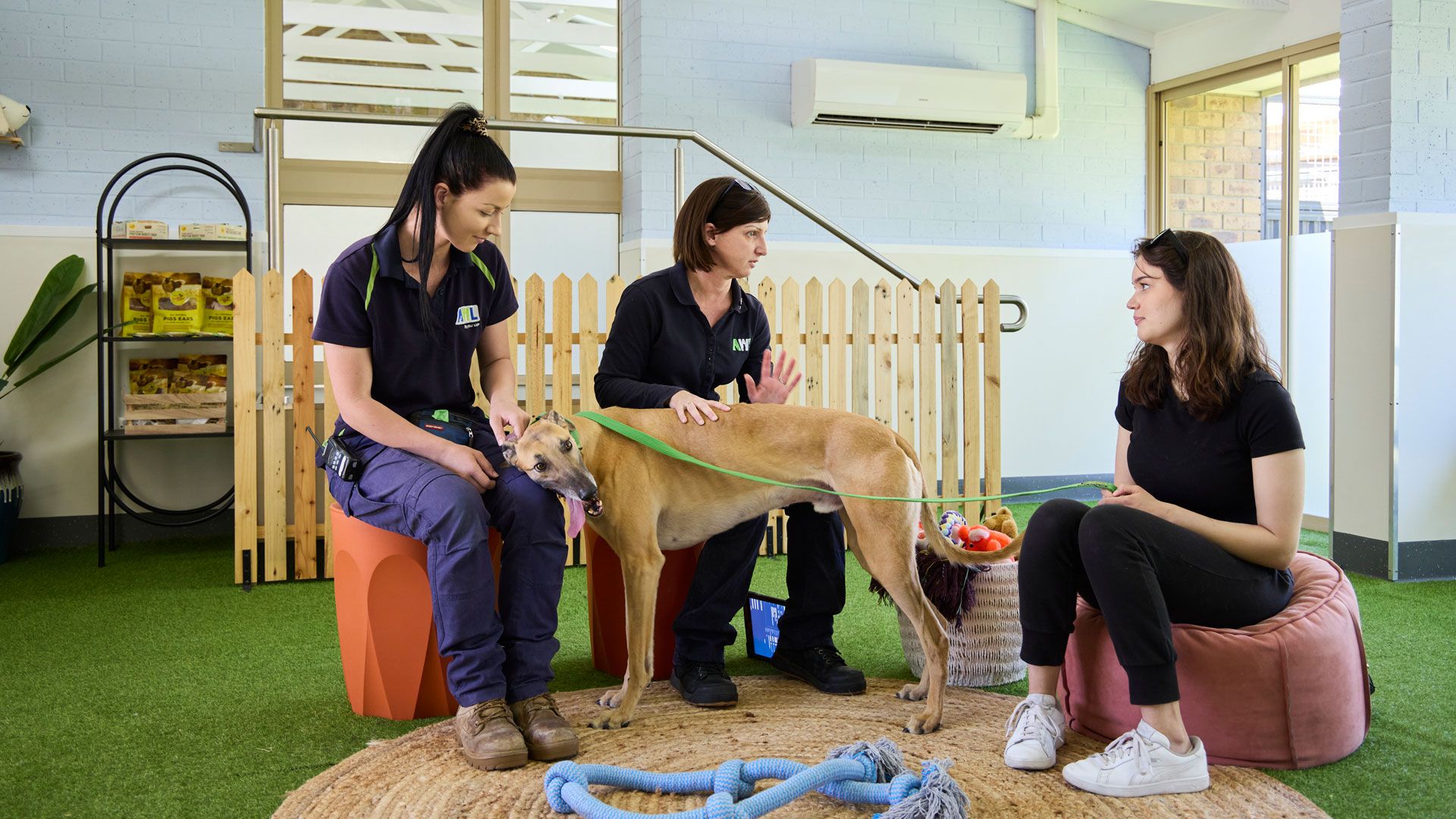 Mama Bär und die Drillinge