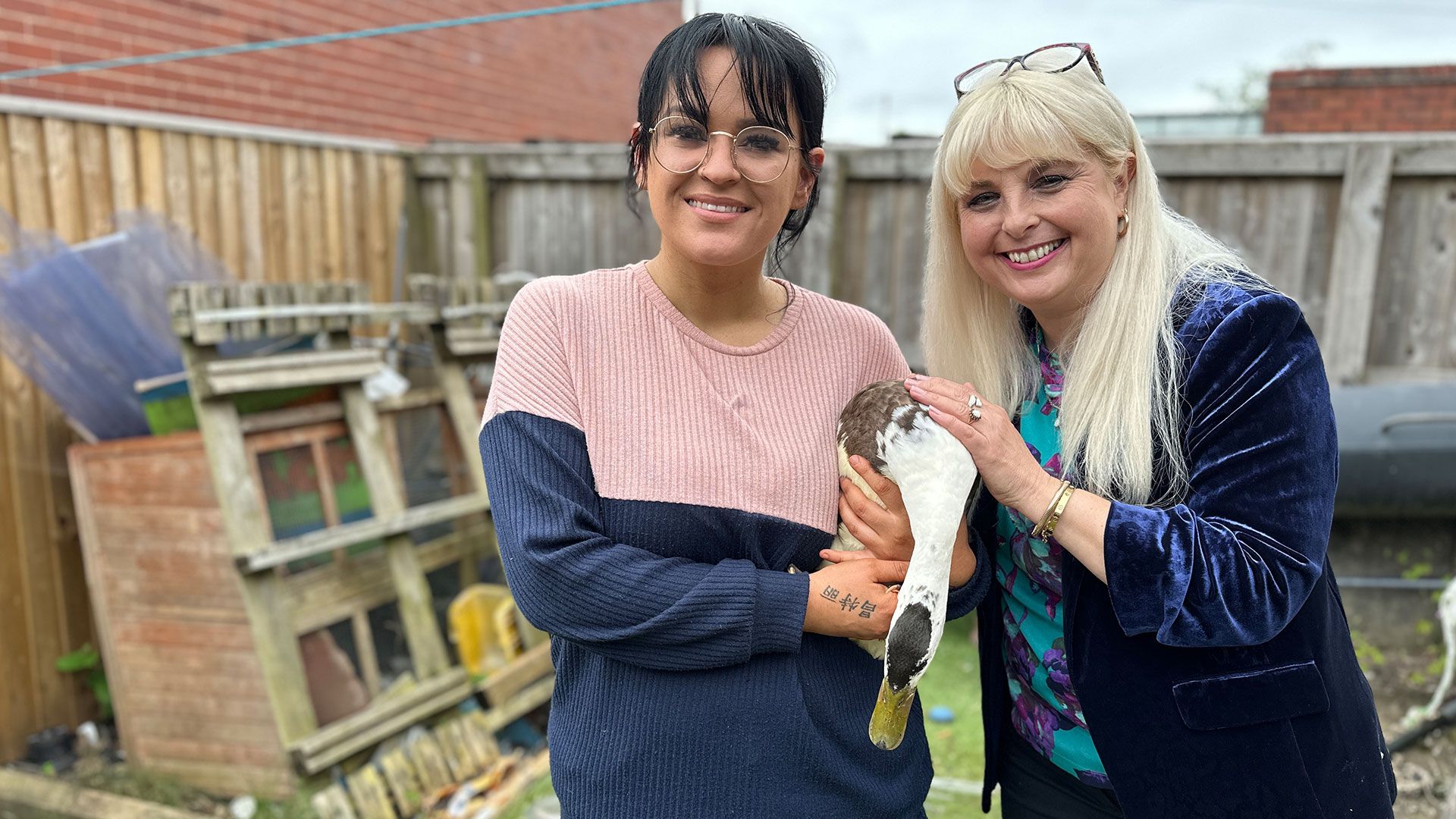 Eine appetitlose Ente, ein Rolli-Hund und Alpakas mit Attitüde