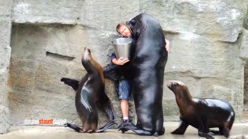 Darüber staunt die Welt! Darüber staunt die Welt! Folge 6: Die tierischsten Schlamassel