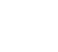 Border Patrol USA - Einsatz an der Grenze