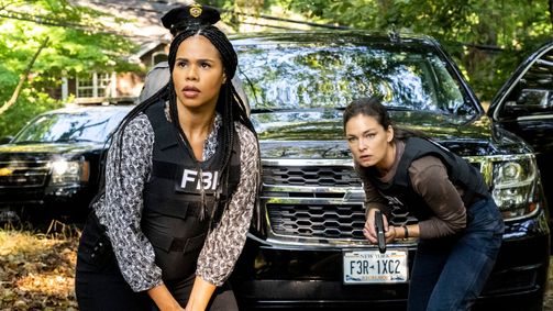 FBI: Most Wanted FBI: Most Wanted Folge 4: Schatzsuche