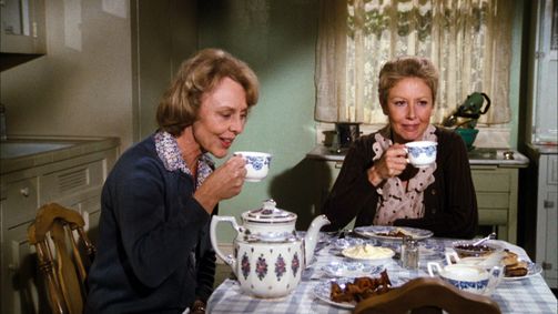 Die Waltons WALTONS, DIE - 06 Folge 12: Verlorene Jugend