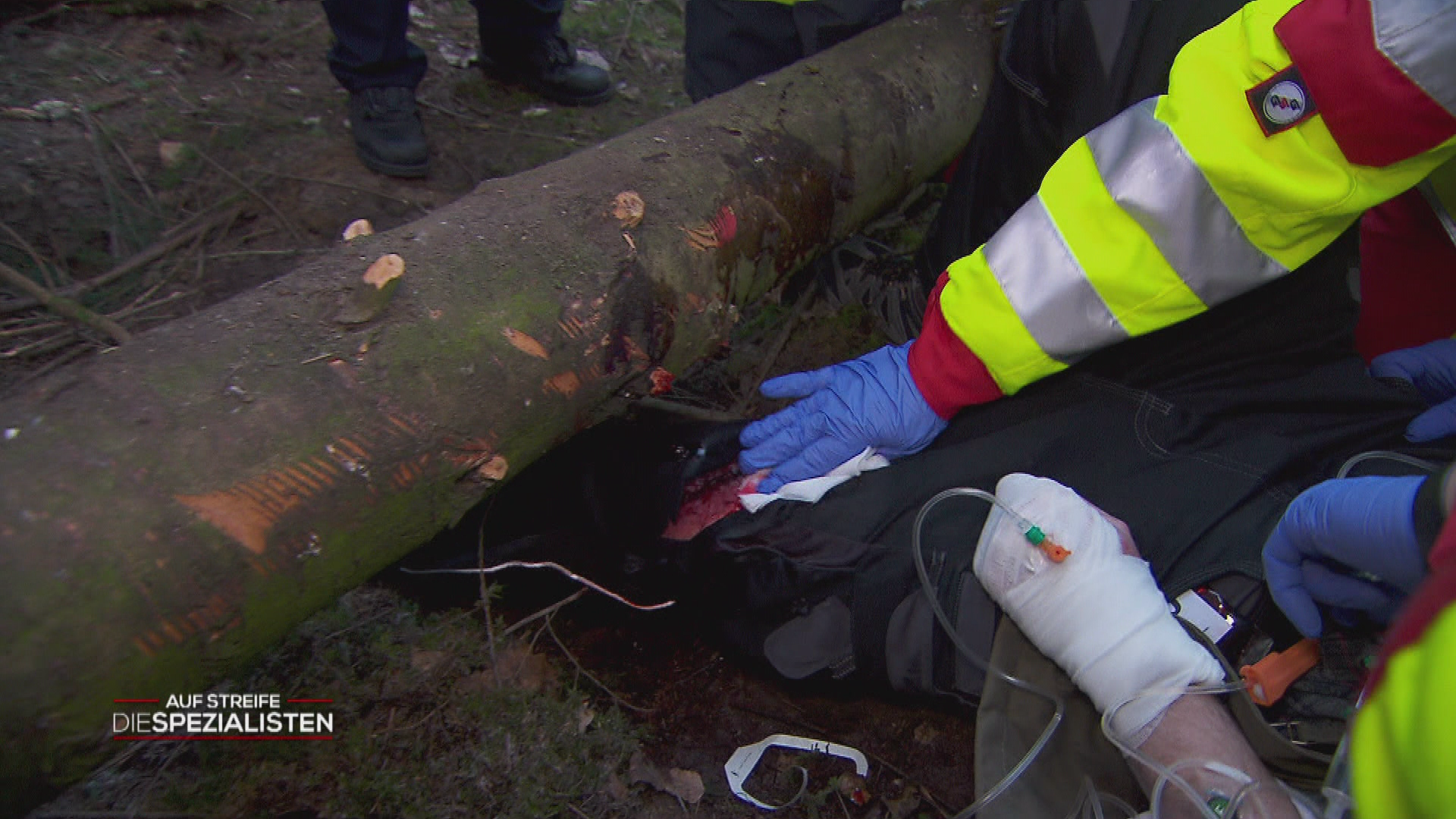 Das Kettensägenmassaker