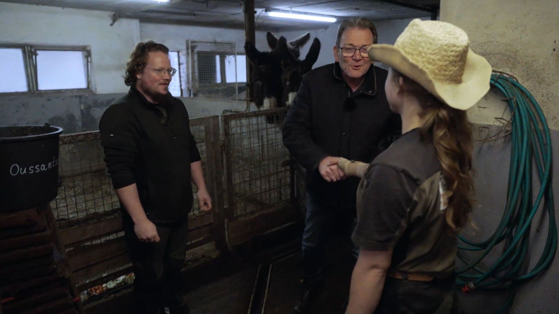 Hirschkalb Ronald in Not