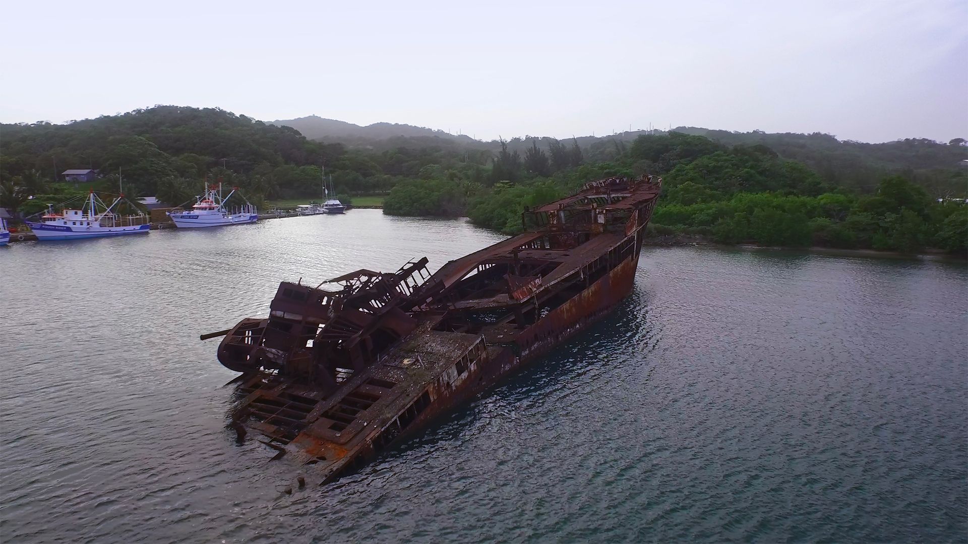 Die Wrackriffs von Roatan