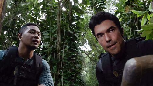 Hawaii Five-0 Hawaii Five-0 Folge 8: Mit Rat und Tat