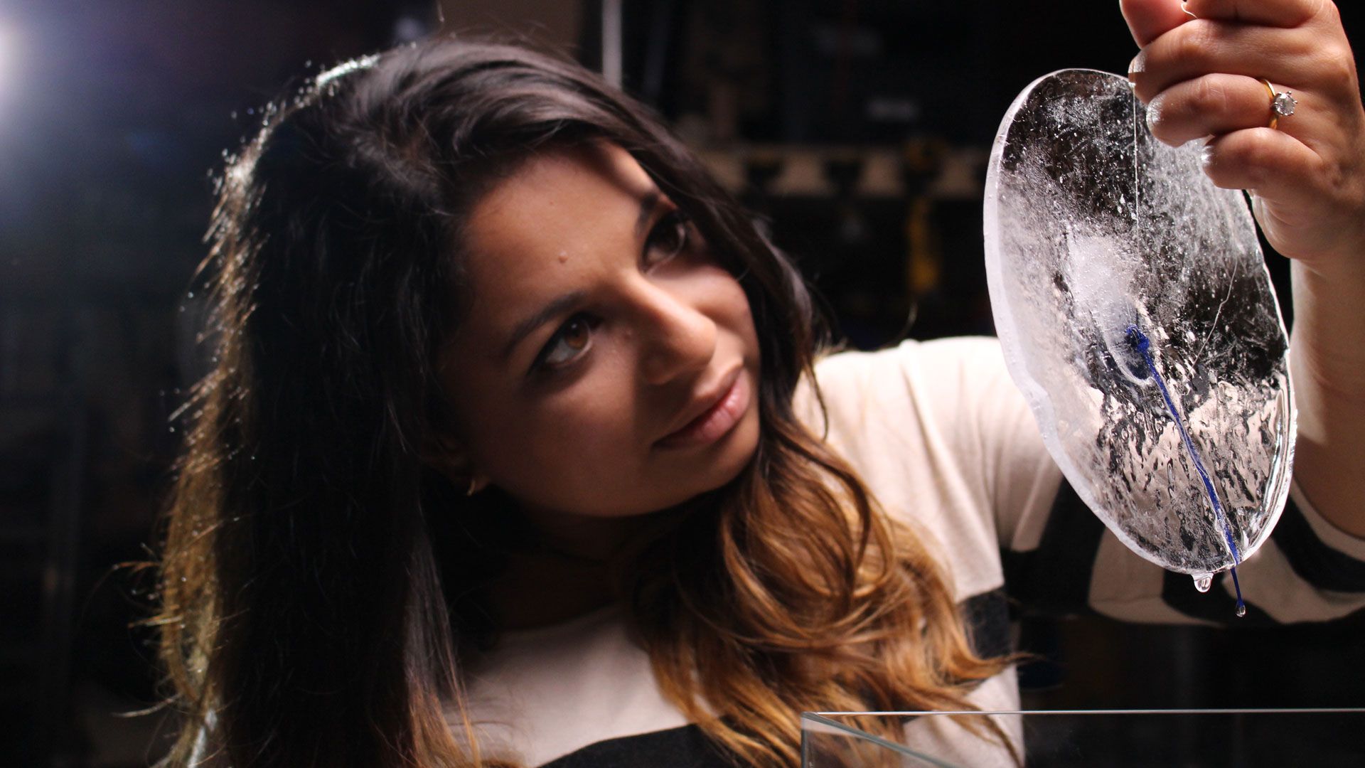 Die Nacht des Chupacabra