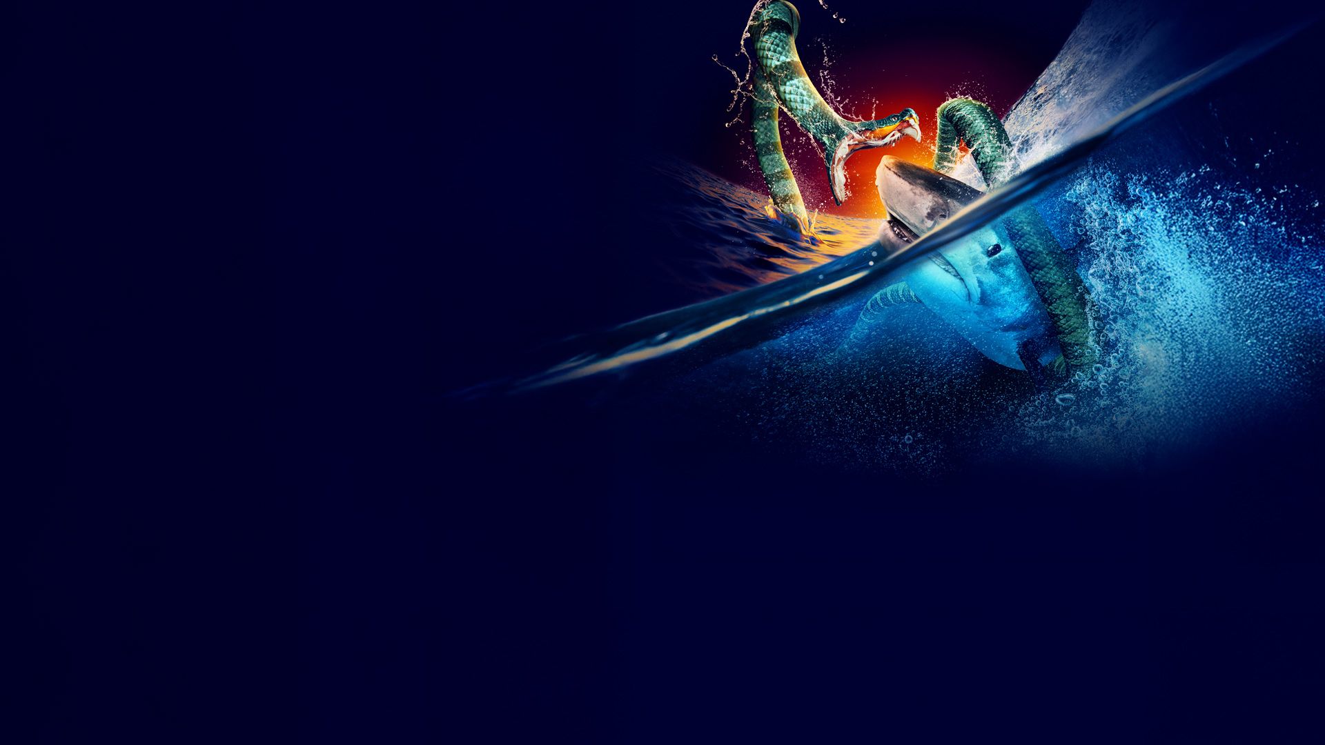 Das Rätsel der toten Haie