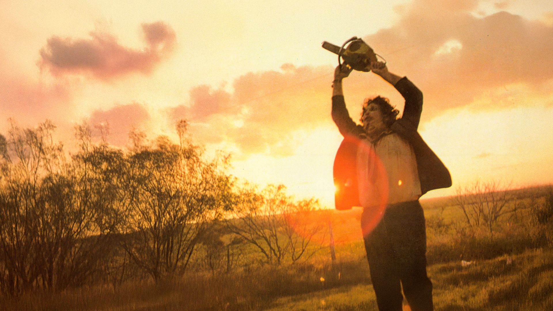 The Texas Chainsaw Massacre - Blutgericht in Texas