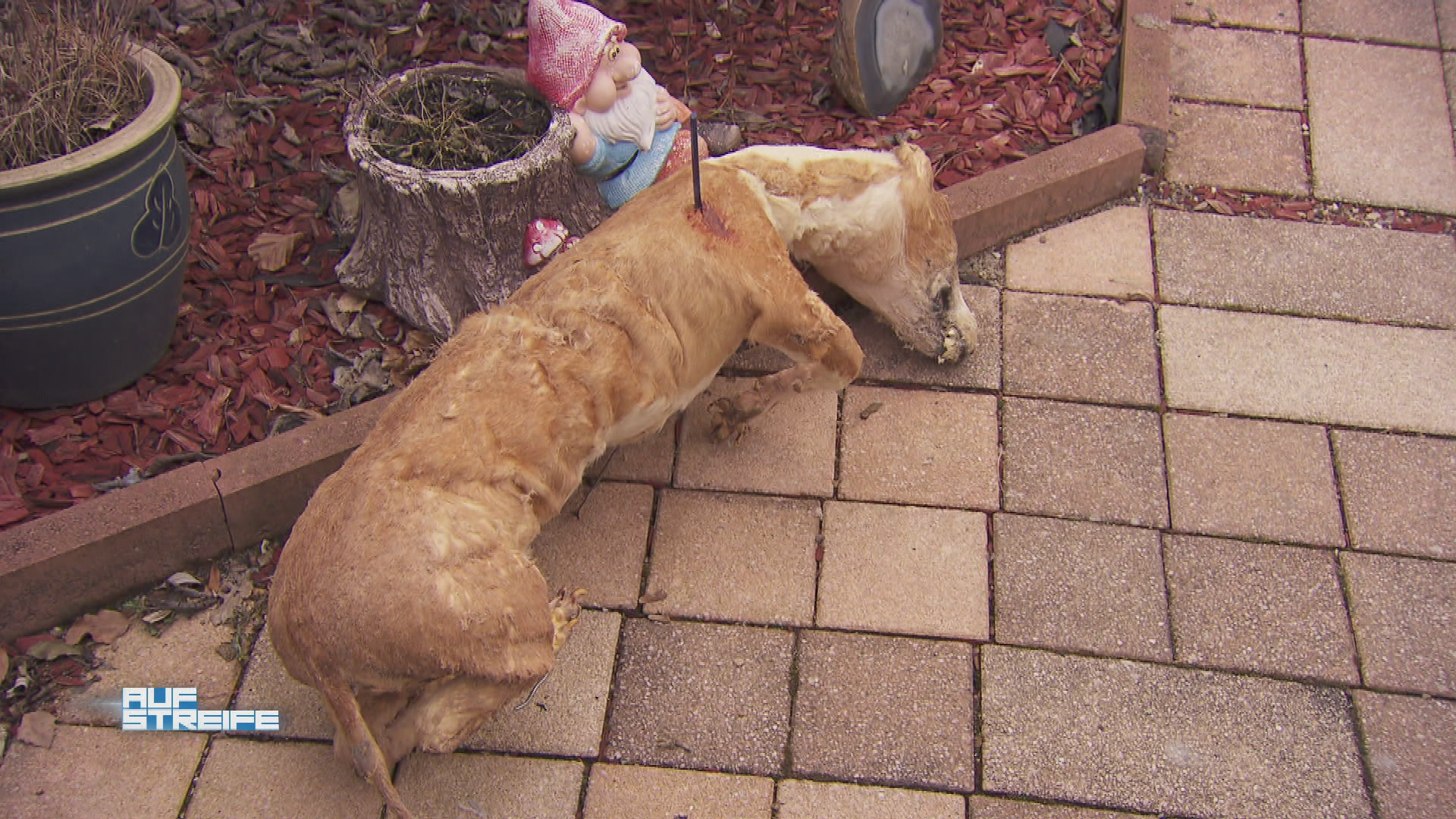 Auf dem Campingplatz ist die Hölle los