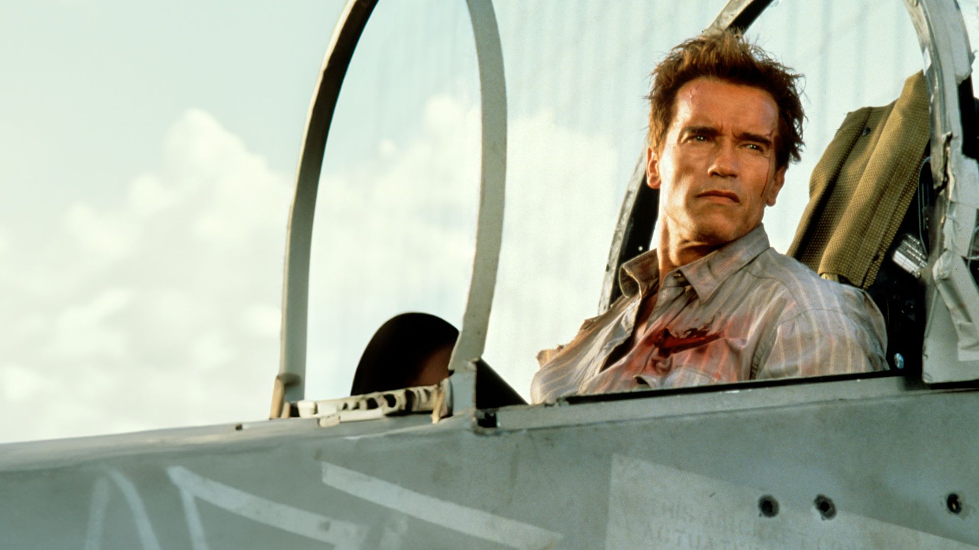 True Lies - Wahre Lügen