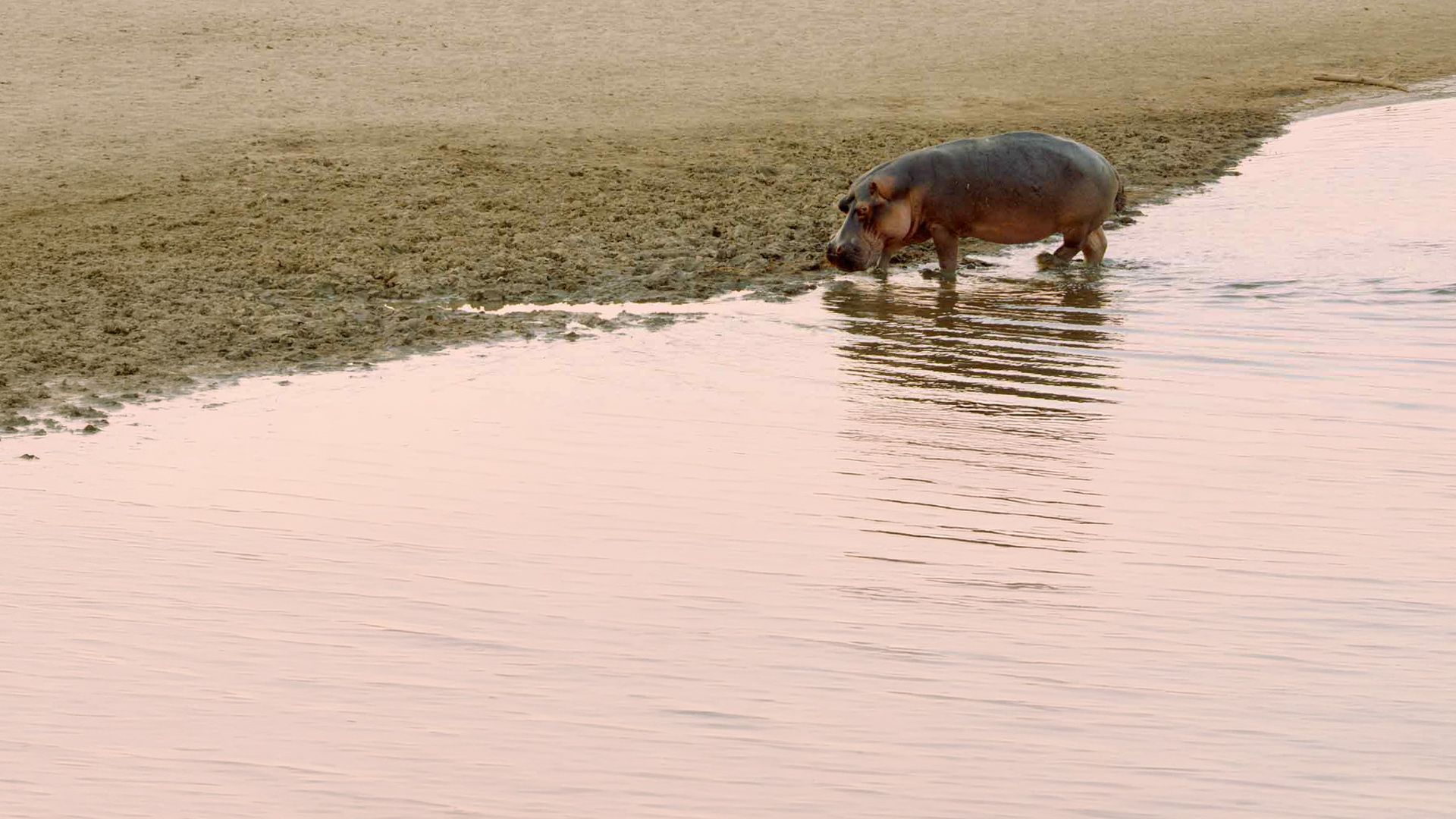 Geschichten aus Sambia