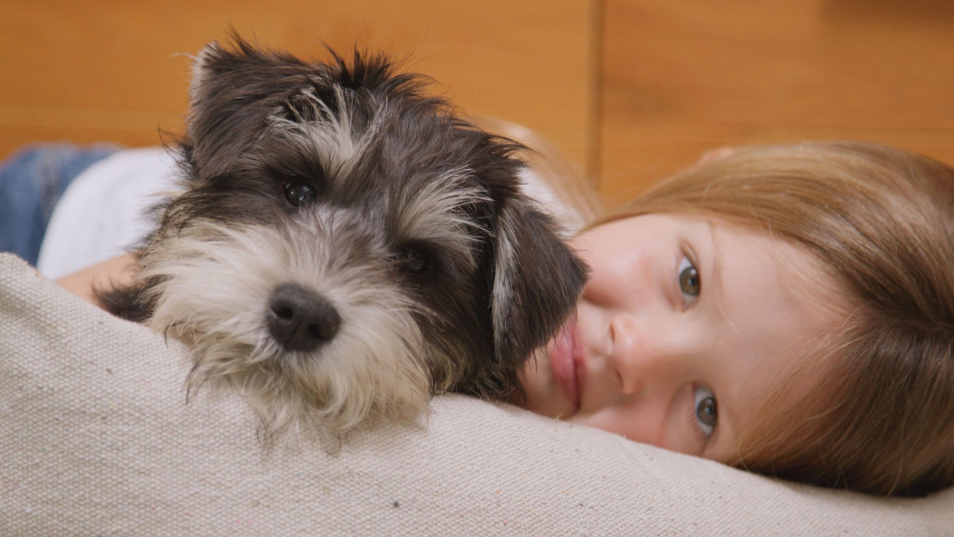 Ein neues Zuhause für Benny