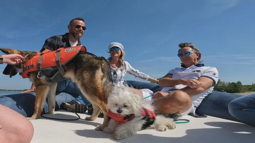 Der Welpentrainer - Auf die Pfoten, fertig, los! Der Welpentrainer - Auf die Pfoten, fertig, los! Folge 5: Eine rasante Unterrichtsstunde in der Welpenklasse