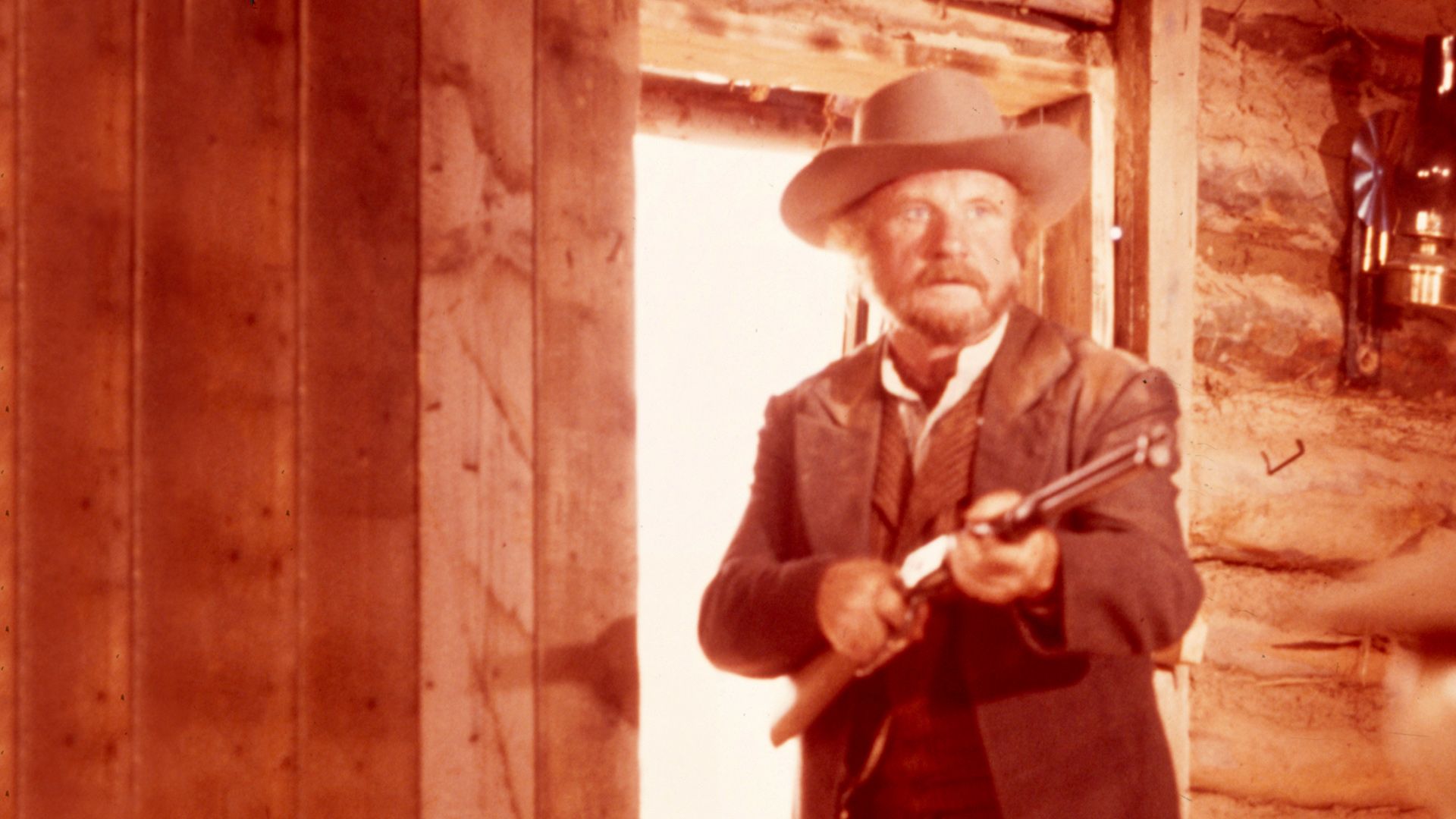 Begrabt die Wölfe in der Schlucht