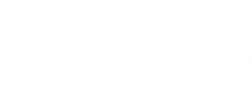 Deutschlands dümmster Promi