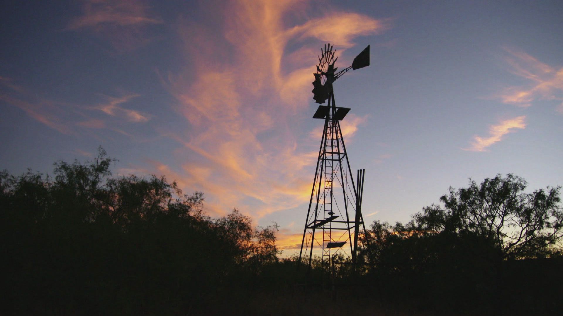 Ein tödliches Angebot