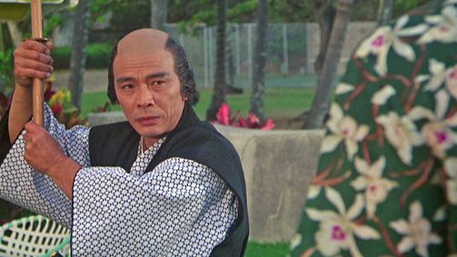 Magnum Magnum Folge 14: Tozan, der Samurai