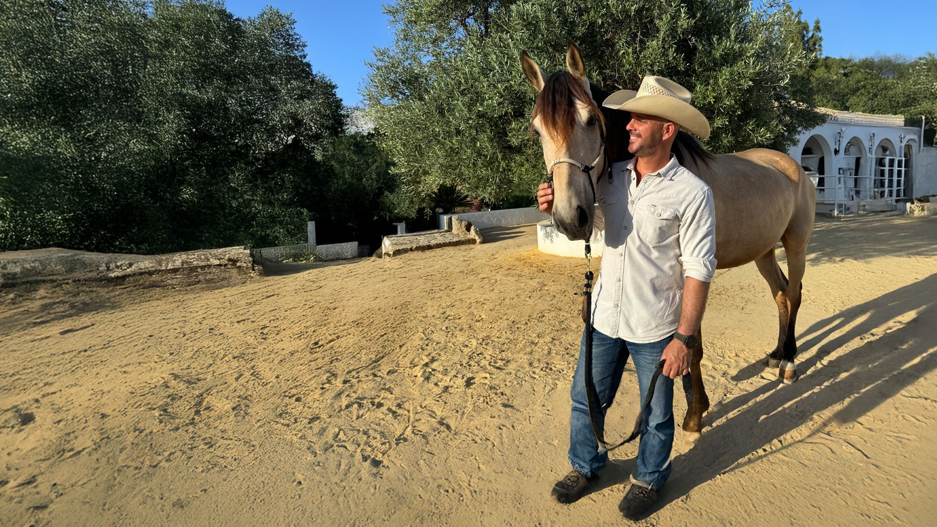 Der Pferdetrainer - Verstehen. Vertrauen. Verbinden.
