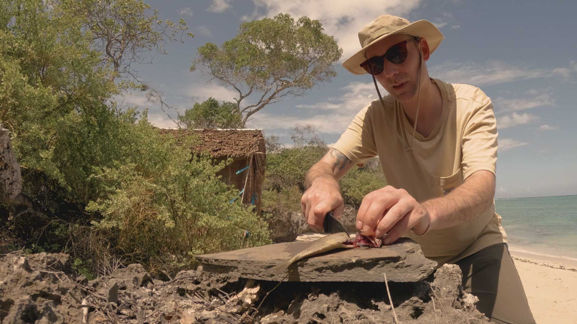 Kleine Fische, große Hoffnung!