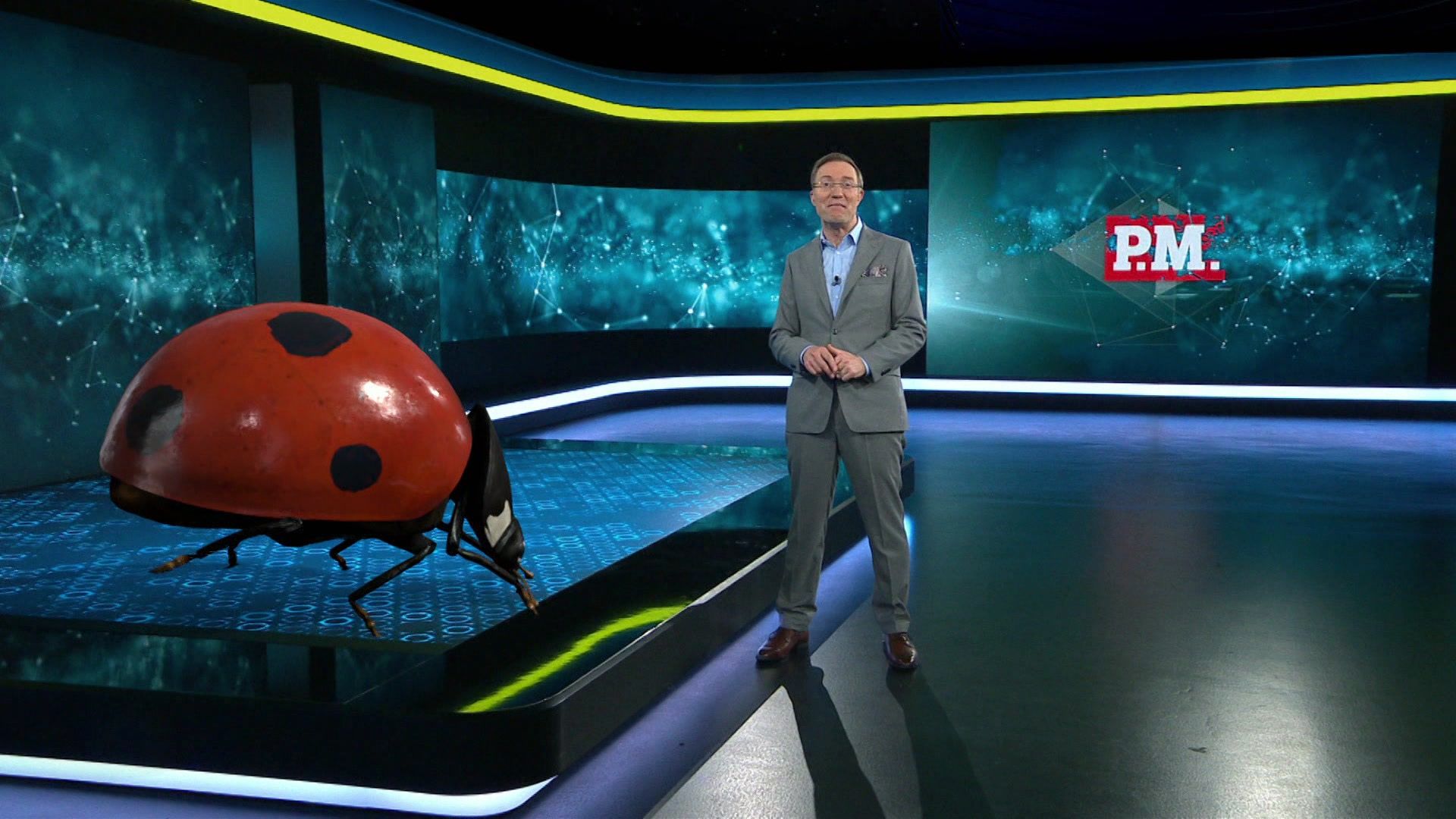 App gegen Motorrad-Unfälle?