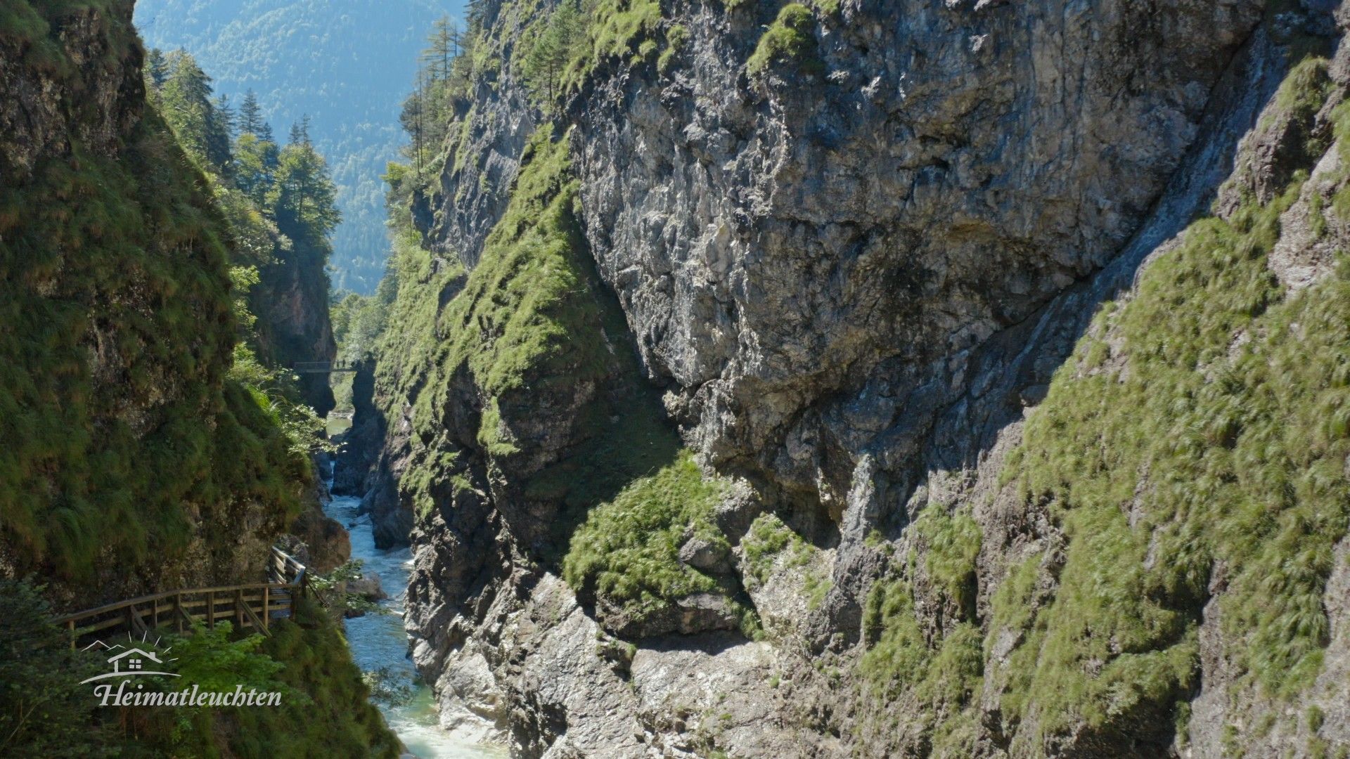 Aufs Herz hören - Sommer am Dachstein