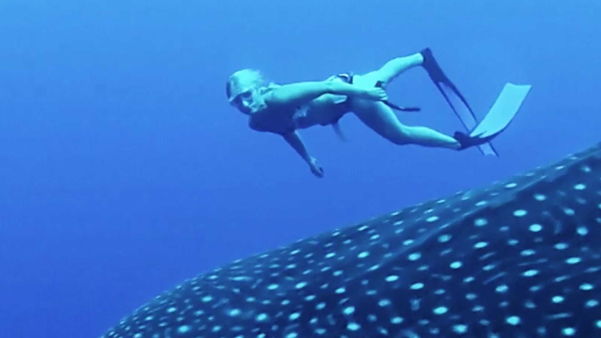 Adventure Doku: Das extremste Abenteuer der Welt