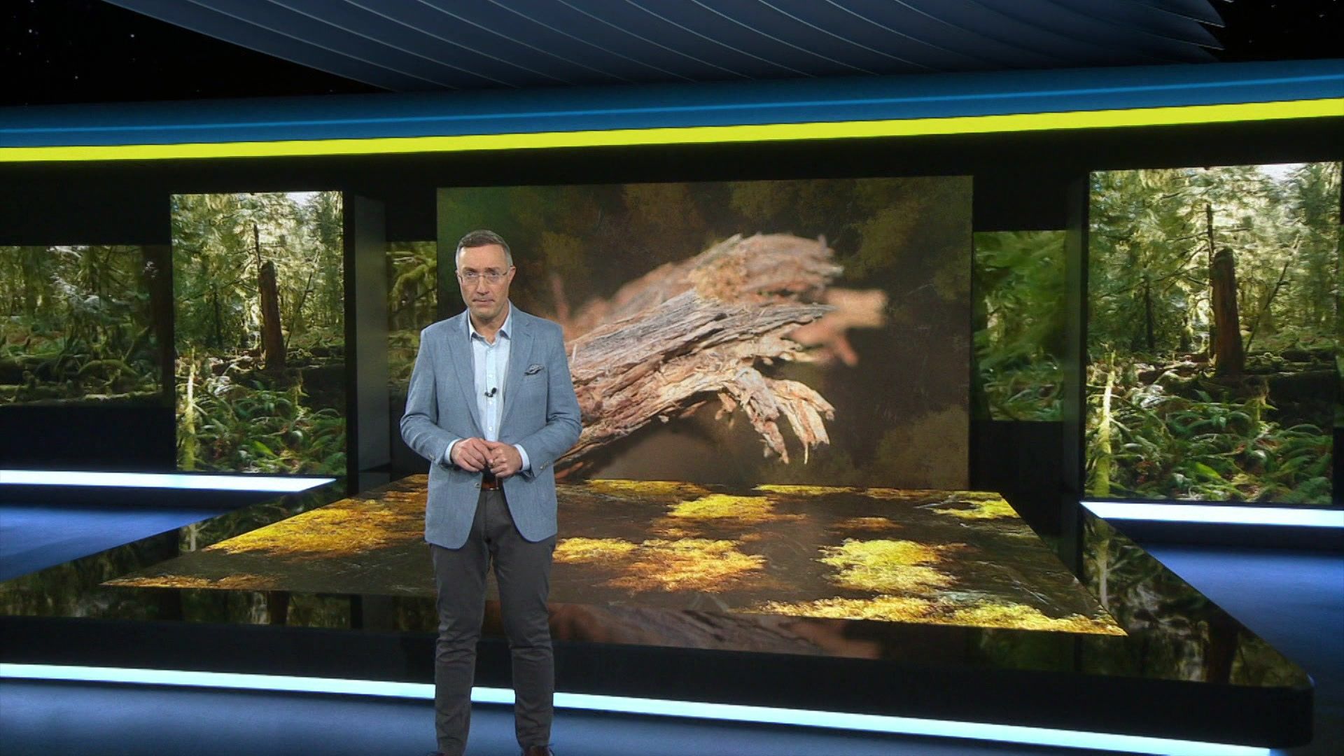 Wie lebendig ist Totholz?