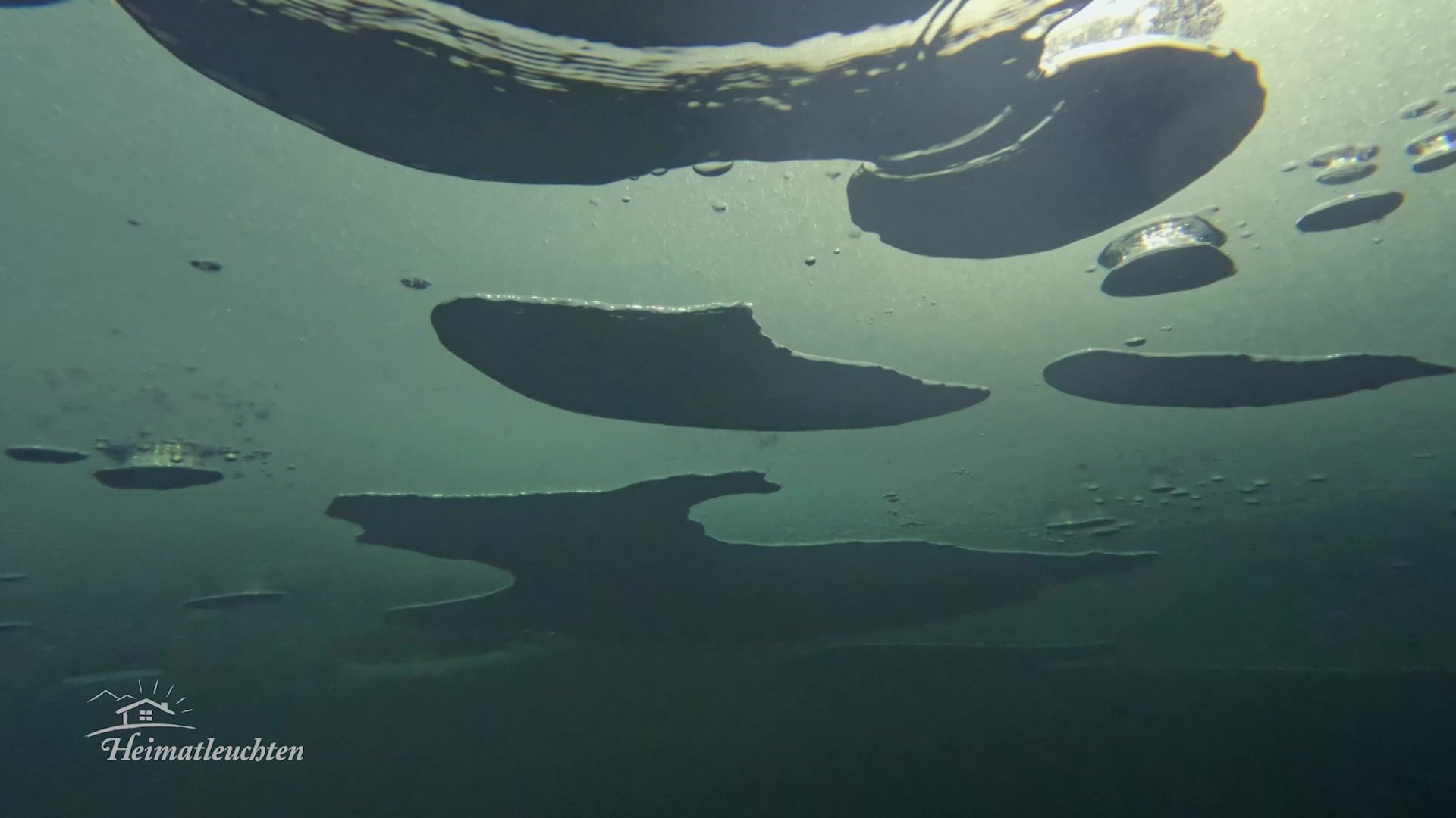 Salzburgs Seen im Winter