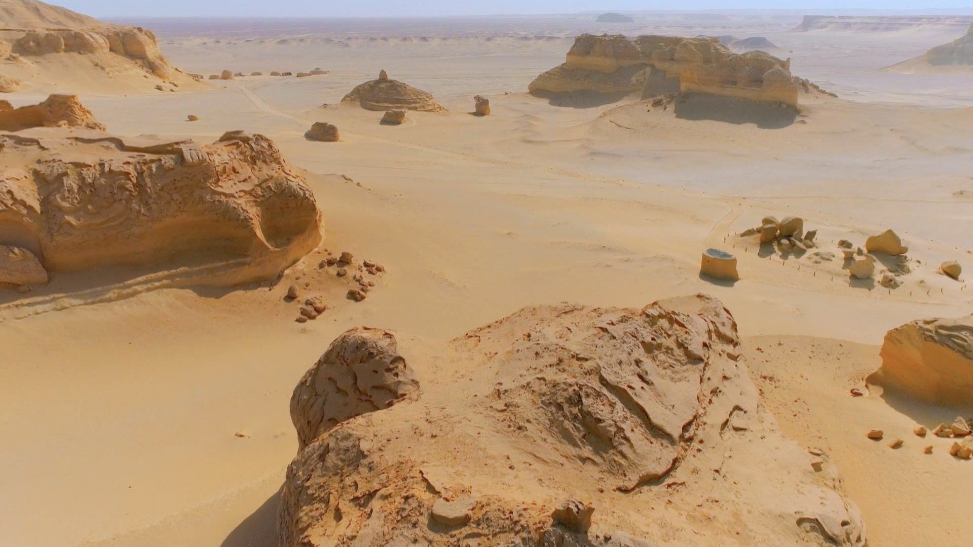 Der Knochenbrecher-Wal