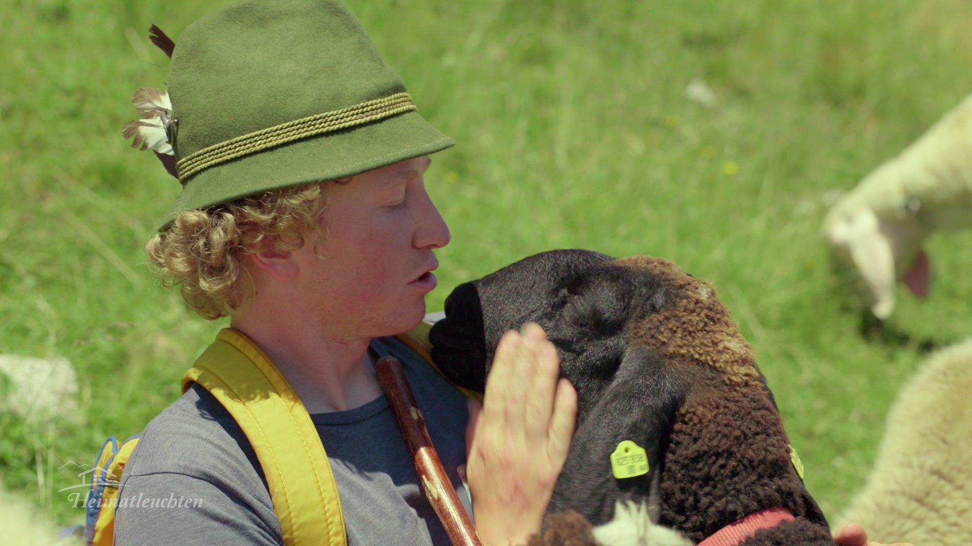 Vom Kommen und Gehen - Steirische Almen