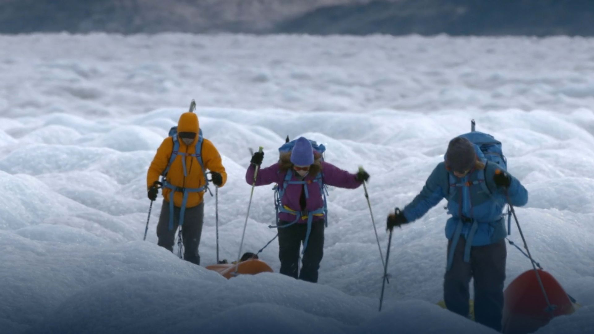 Actionclips: Max Verstappen im Gewächshaus