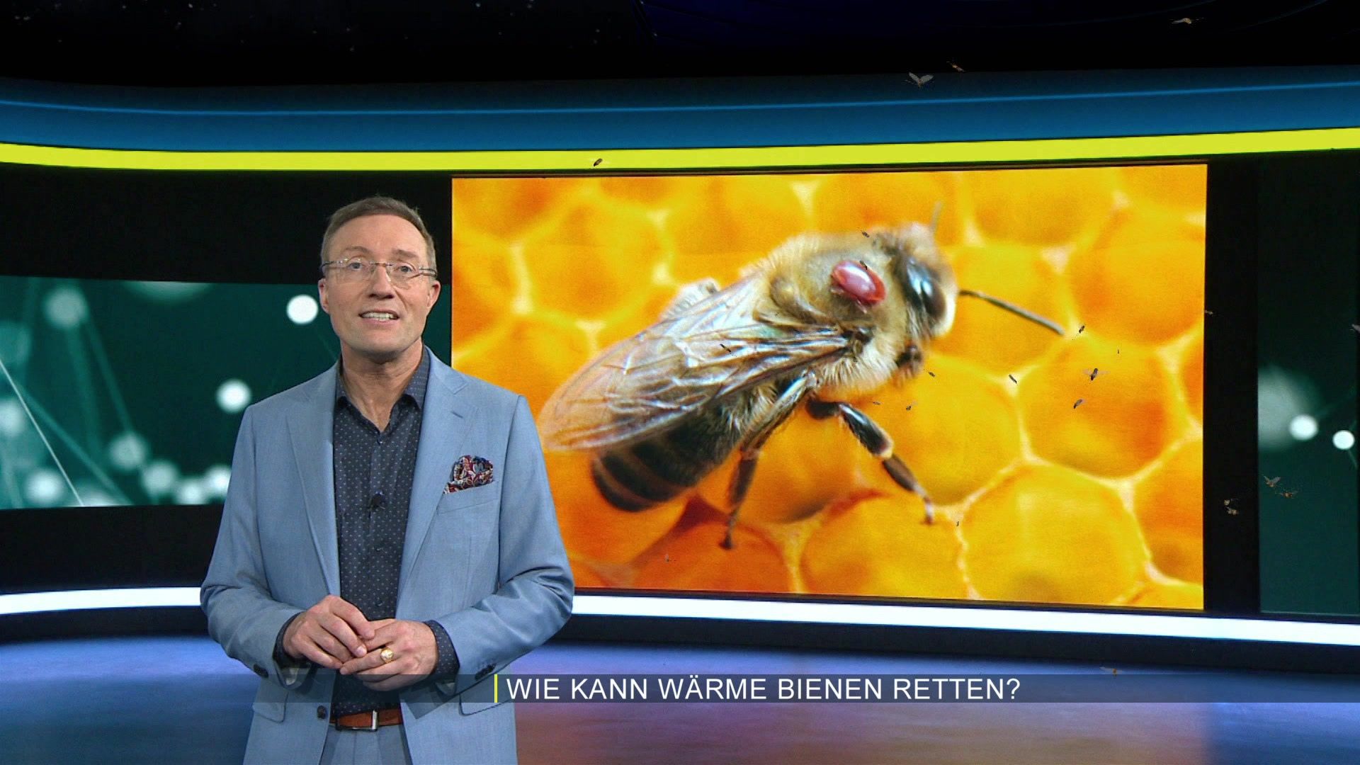 Heizung für Bienen