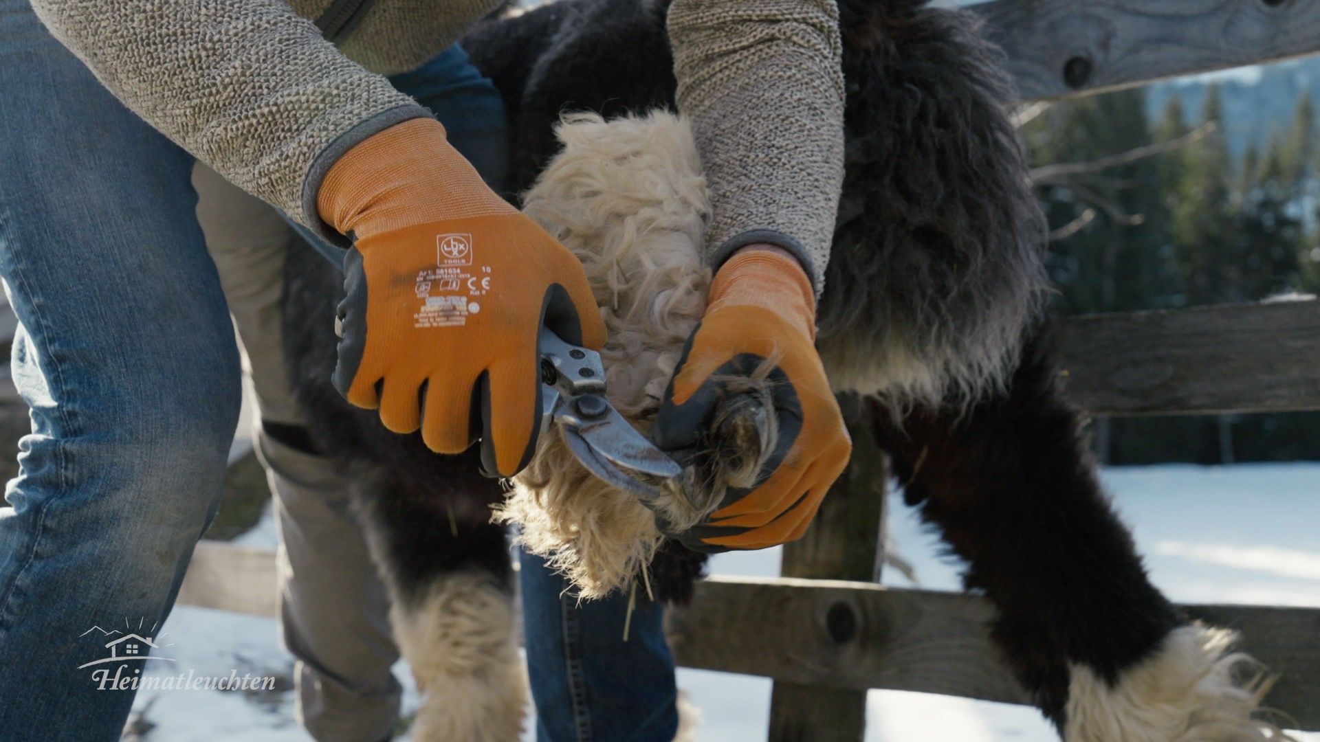 Wo mia san, is oben - In den Tauern