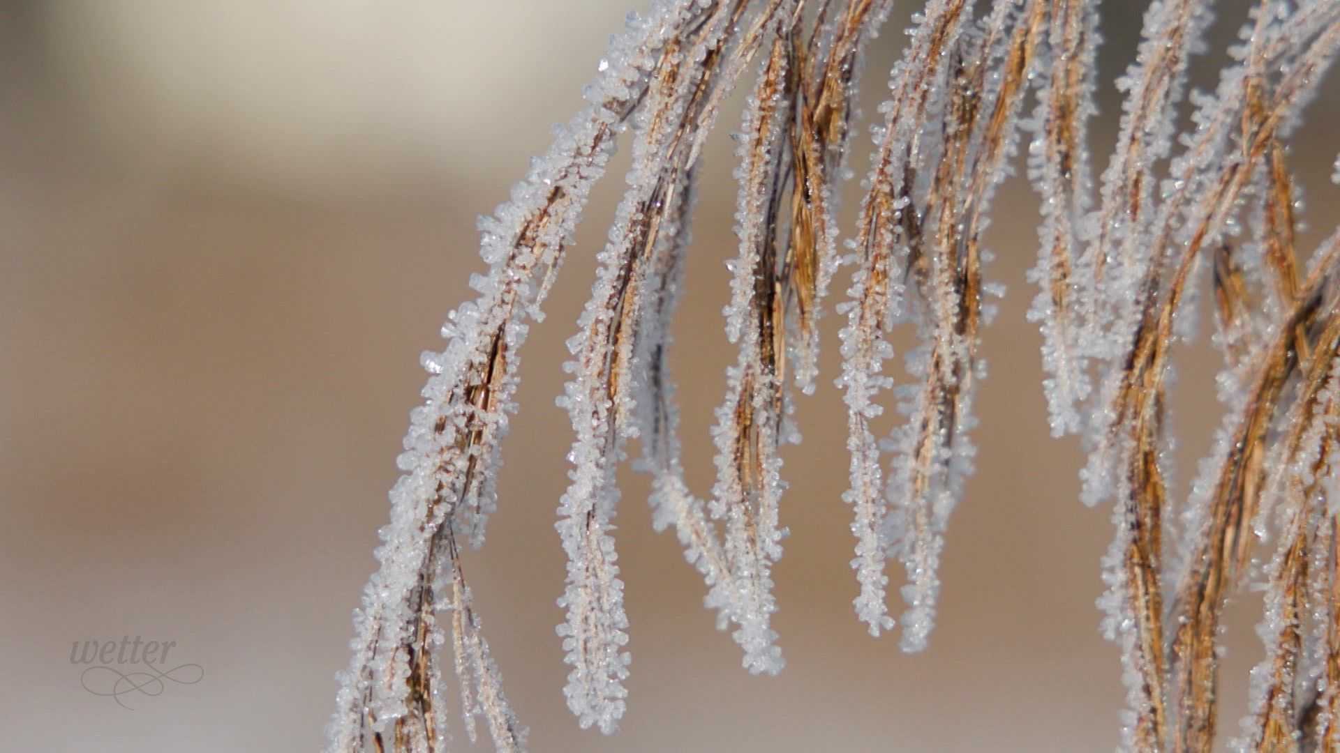 10. Februar - Servus Wetter