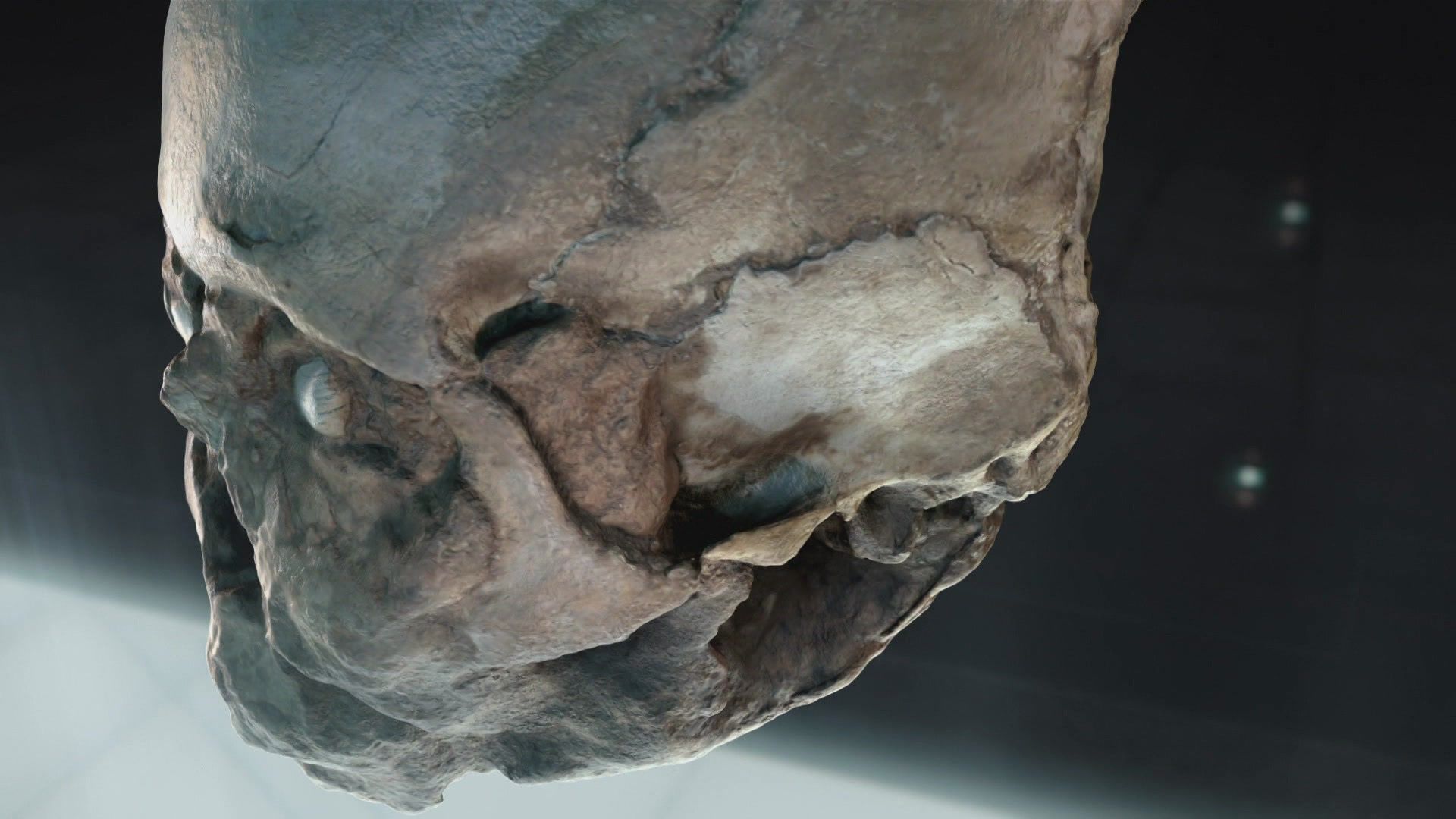 Der Jericho-Schädel