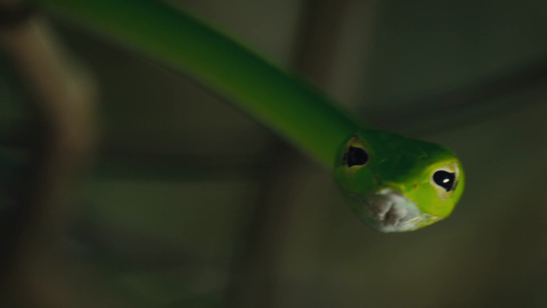 Kui Buri - Thailands unbekanntes Eden
