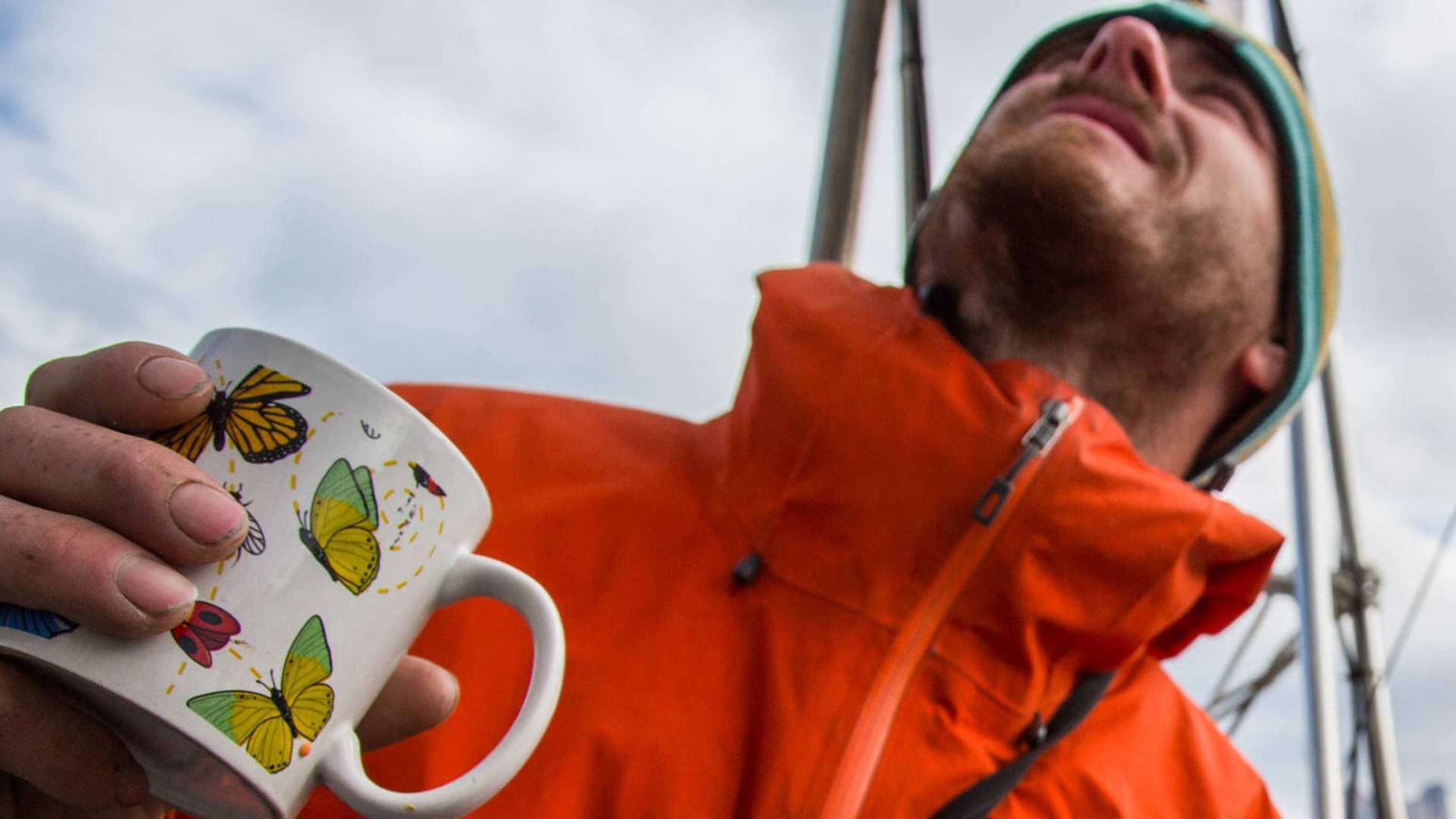 Dodo's Delight: Teil I