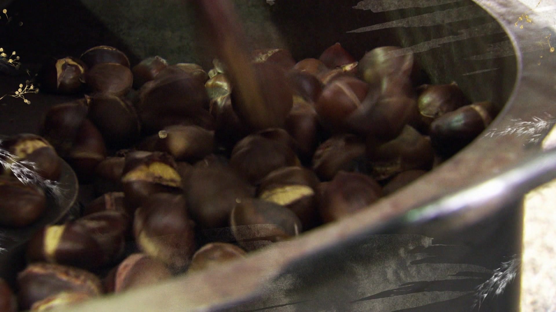 Zum Ursprung der Salzach mit Conny Bürgler