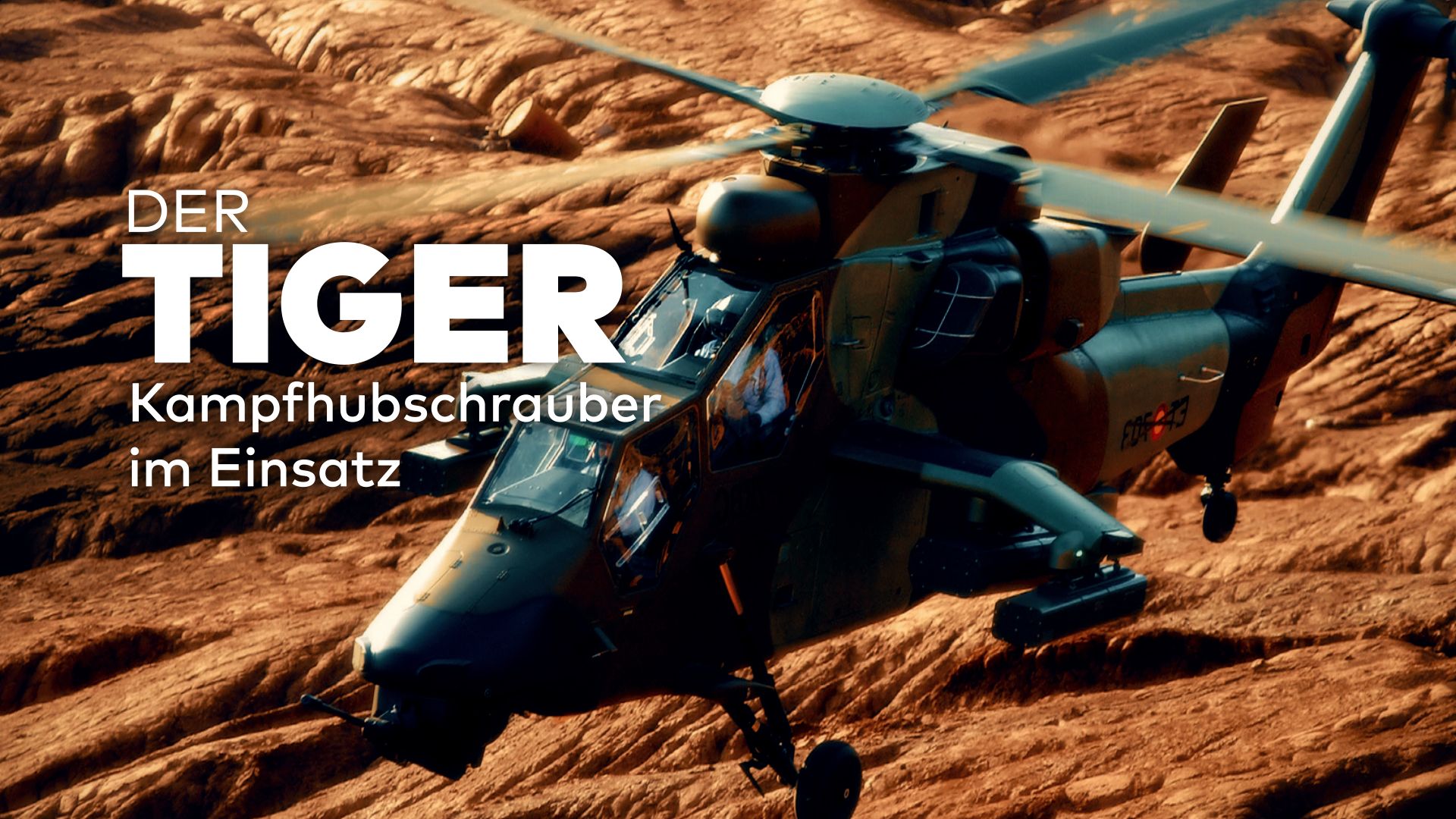 Der Tiger - Hightech am Himmel