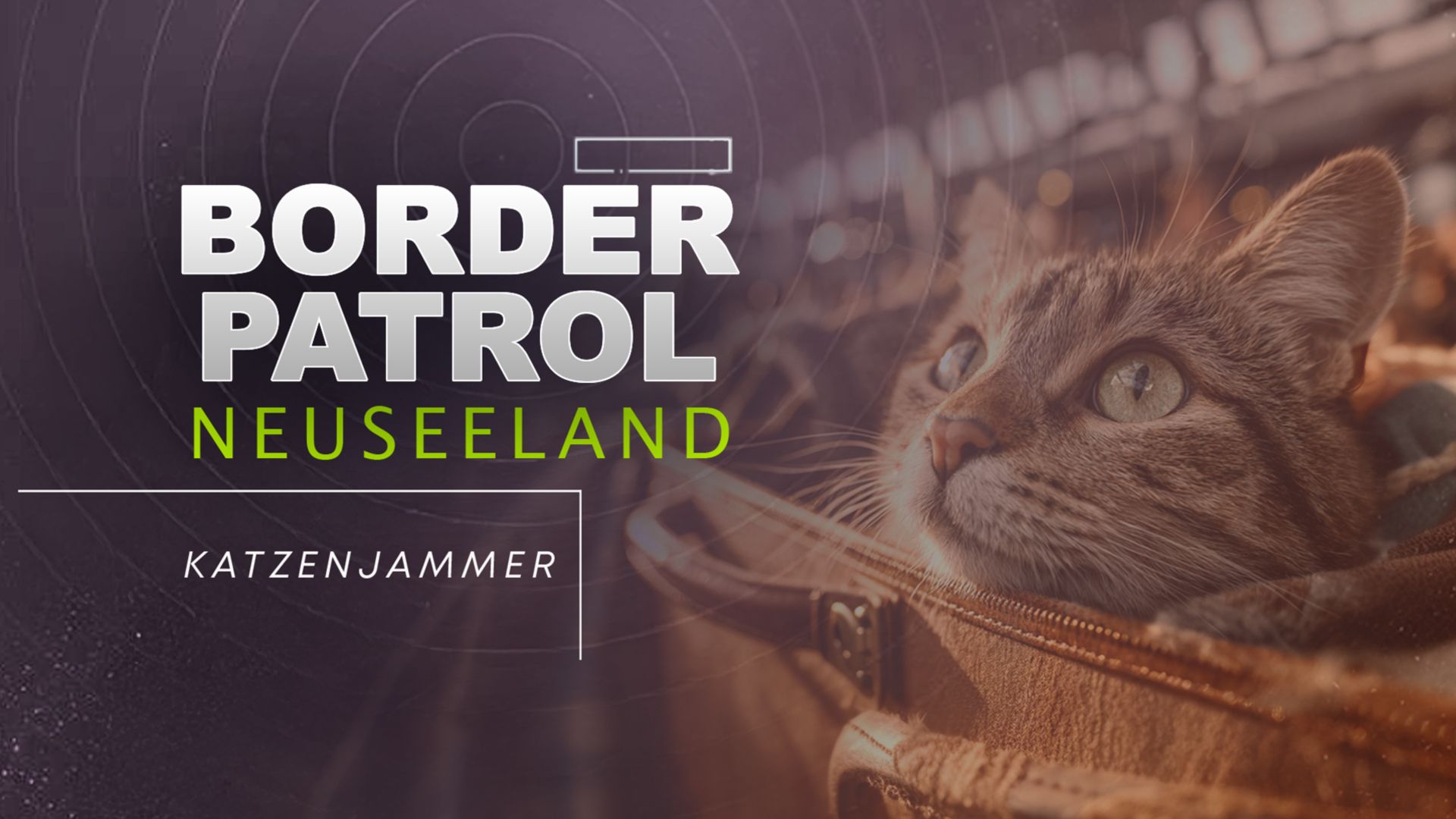 Border Patrol Neuseeland: Katzenjammer