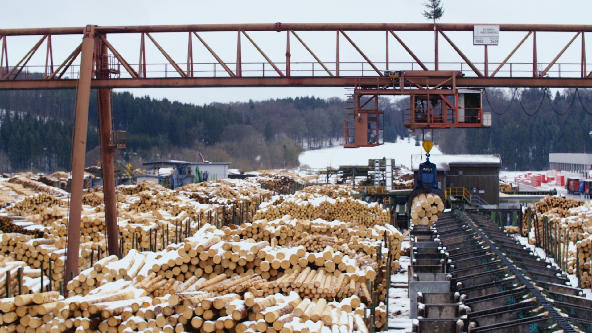 Fertighäuser - Vom Baum zum Eigenheim