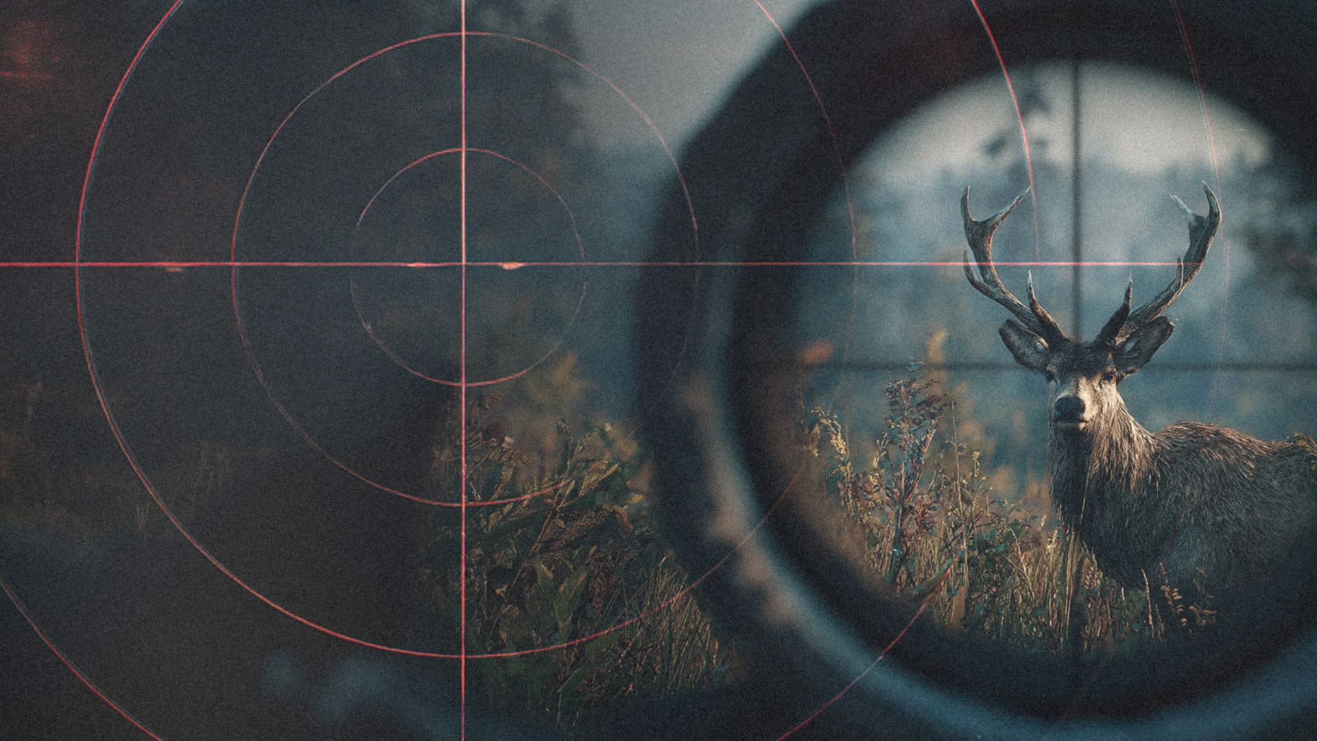 Auf der Pirsch – Wiese, Wald und Waidmannsdank