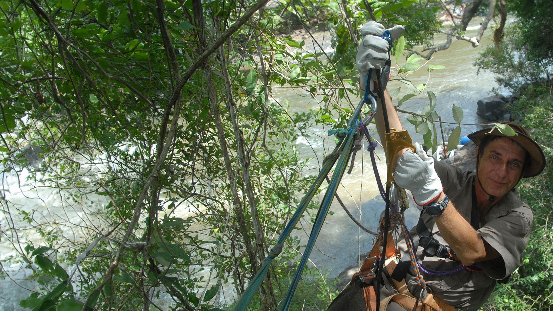 Tief im Regenwald - Folge 2: Auf der Spur der Harpyie