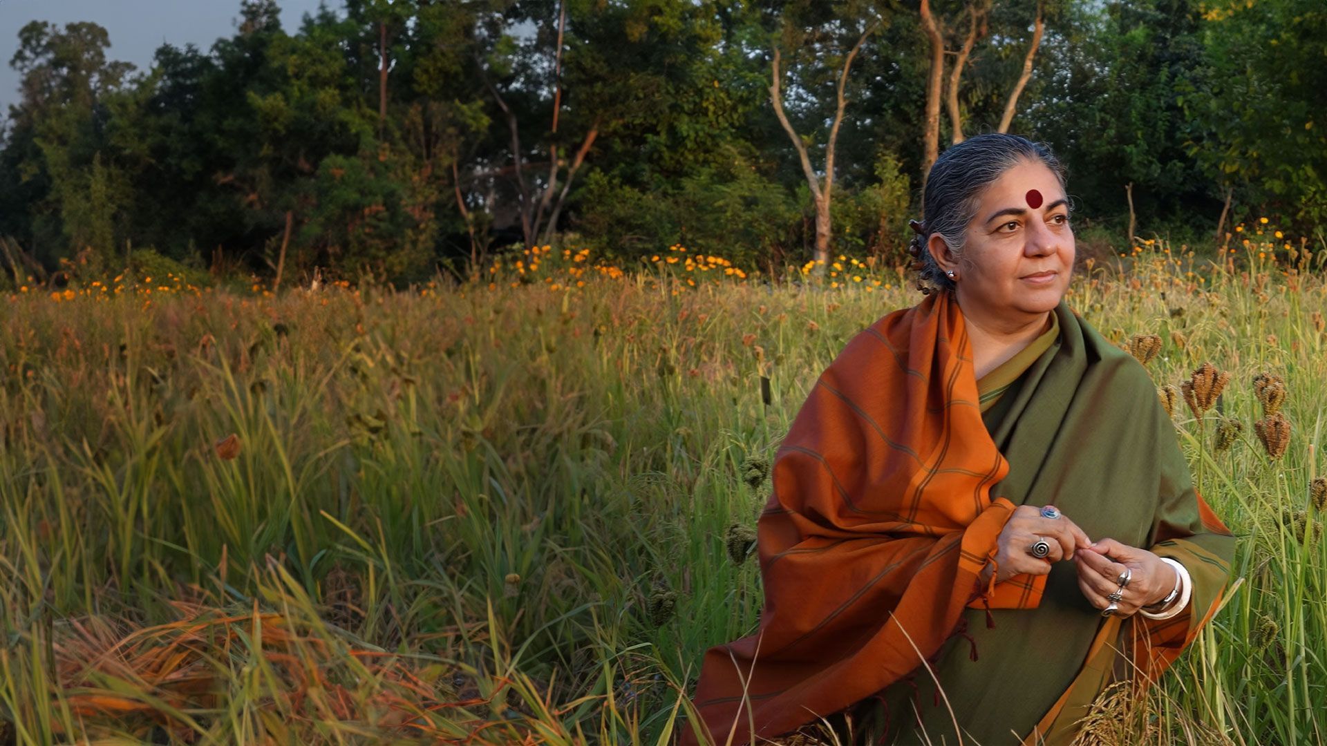 Unser Saatgut - Wir ernten, was wir säen