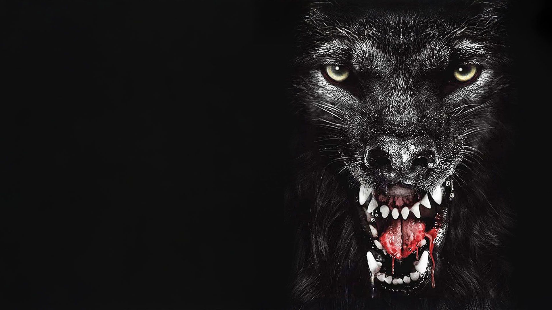 The Pack - Die Meute