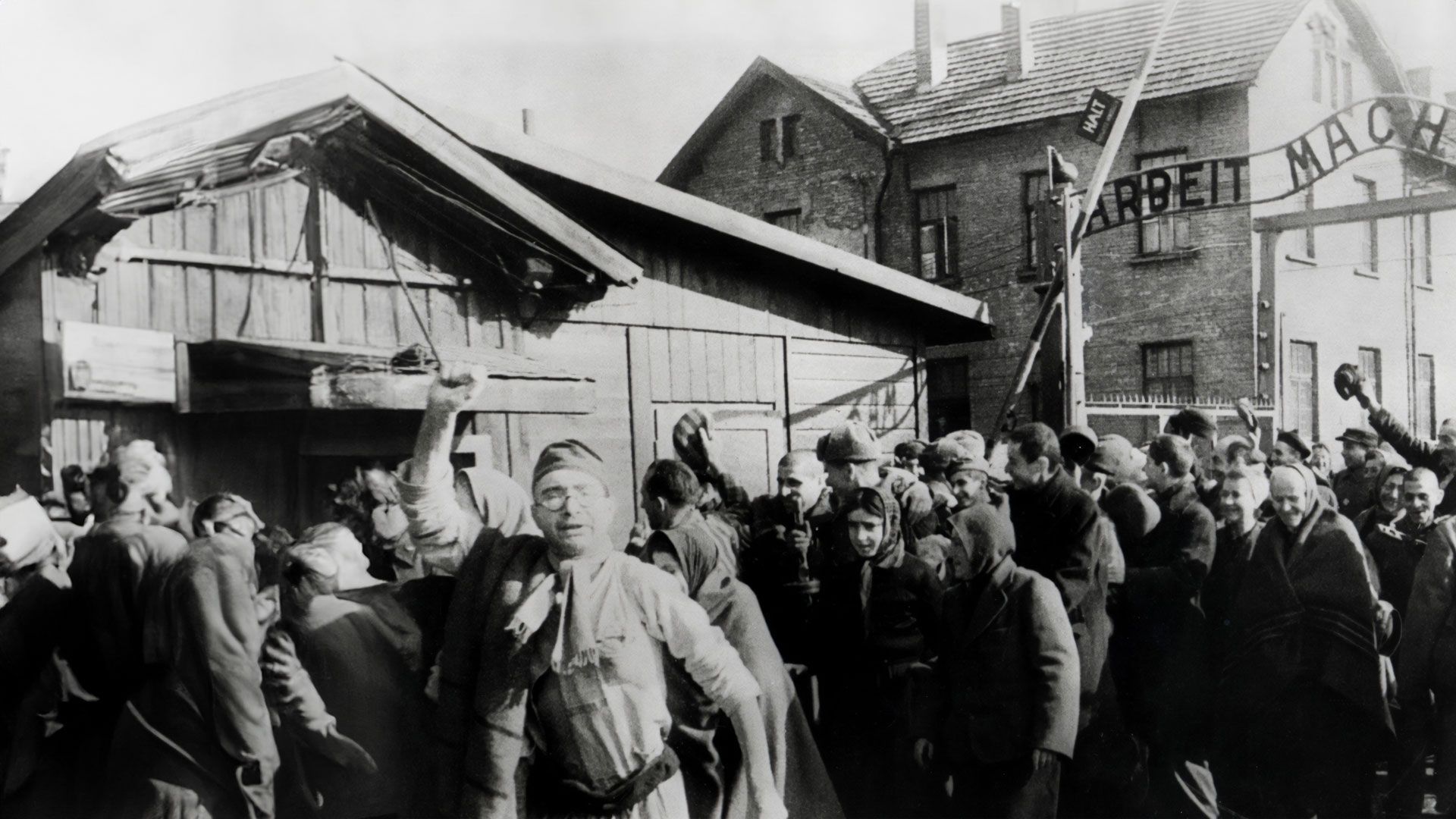 Die Befreiung von Auschwitz