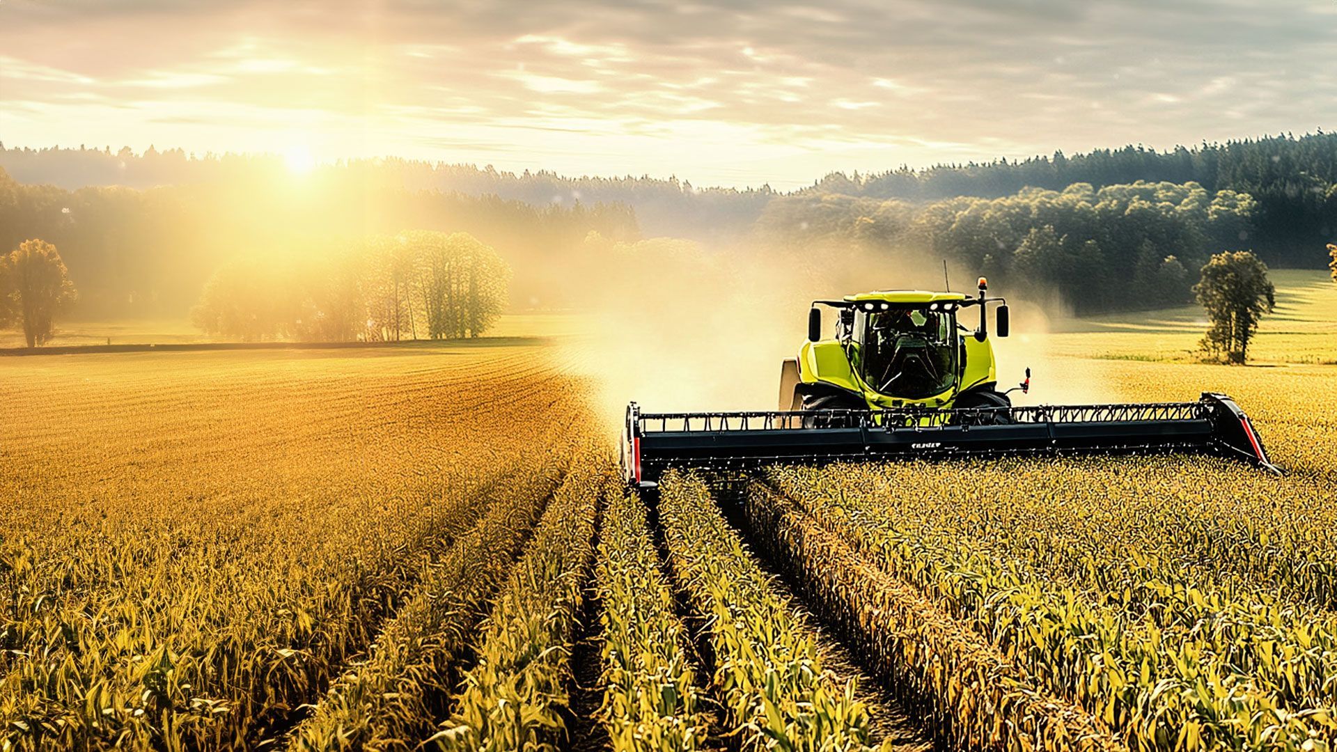 50 Jahre CLAAS JAGUAR 1973-2023: Teil 2