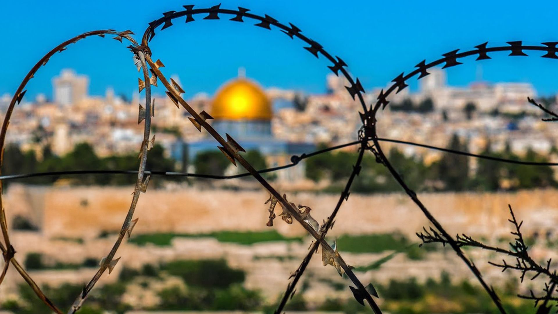 Geheimes Israel - Der Boxclub für Juden und Araber