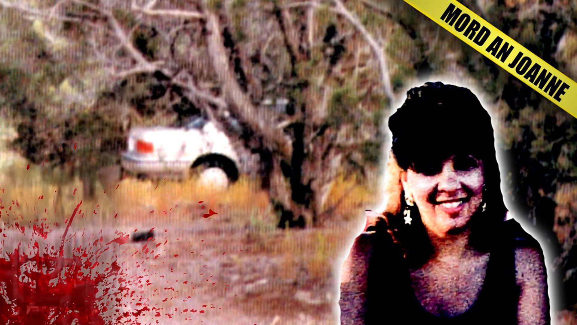 Joanne Albanese vermisst: Ex-Cop wird zum Täter